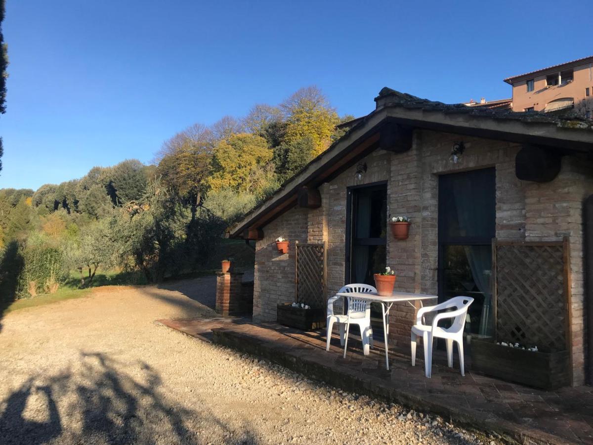 La Perla Tra Gli Ulivi Apartment Siena Bagian luar foto