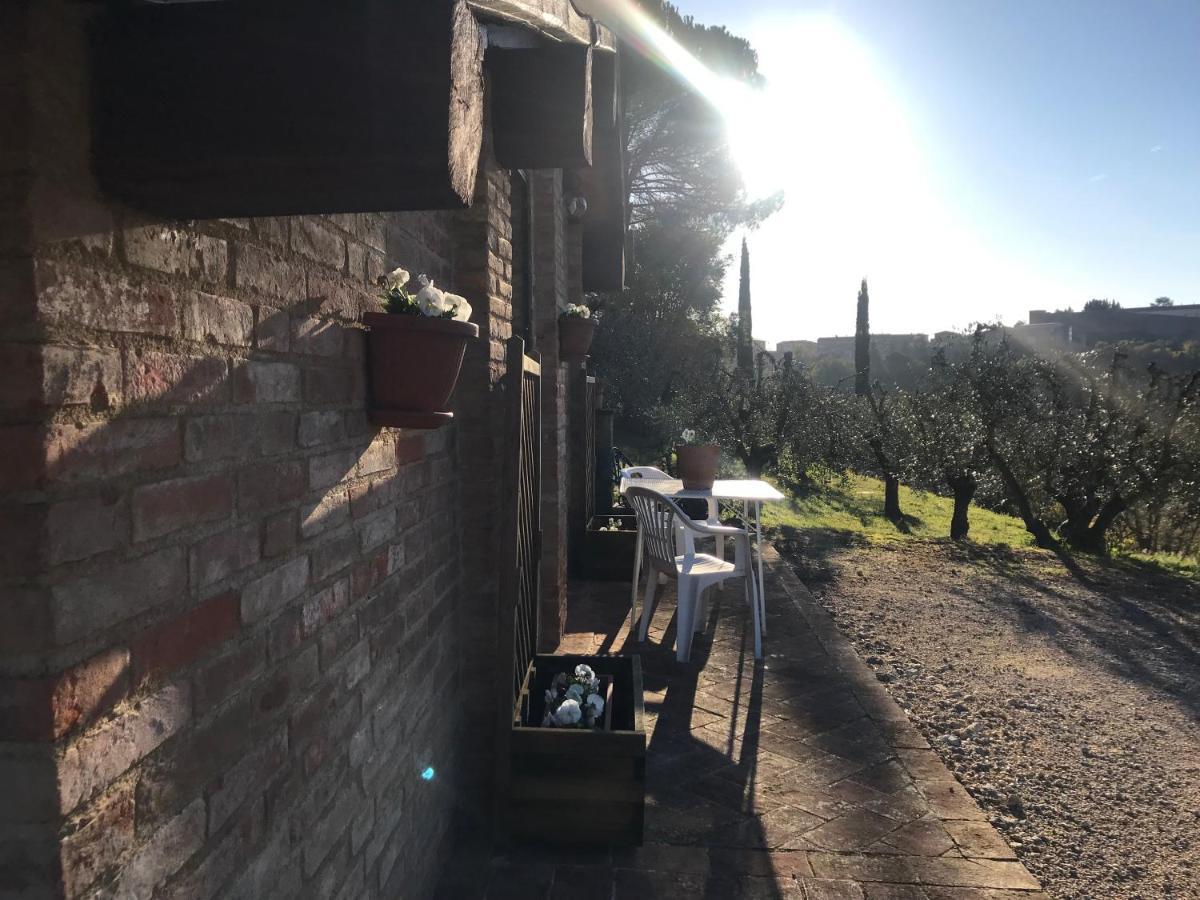 La Perla Tra Gli Ulivi Apartment Siena Bagian luar foto