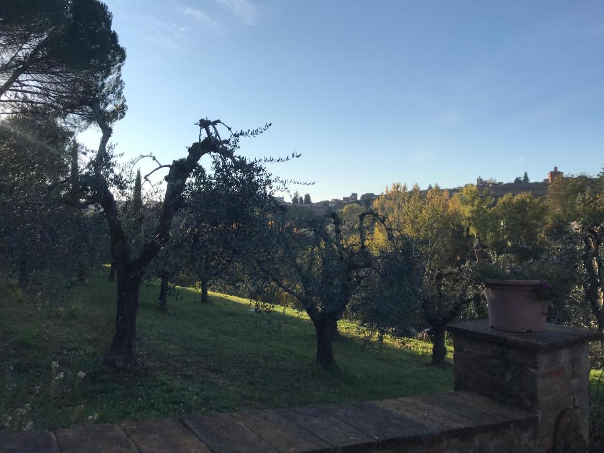 La Perla Tra Gli Ulivi Apartment Siena Bagian luar foto
